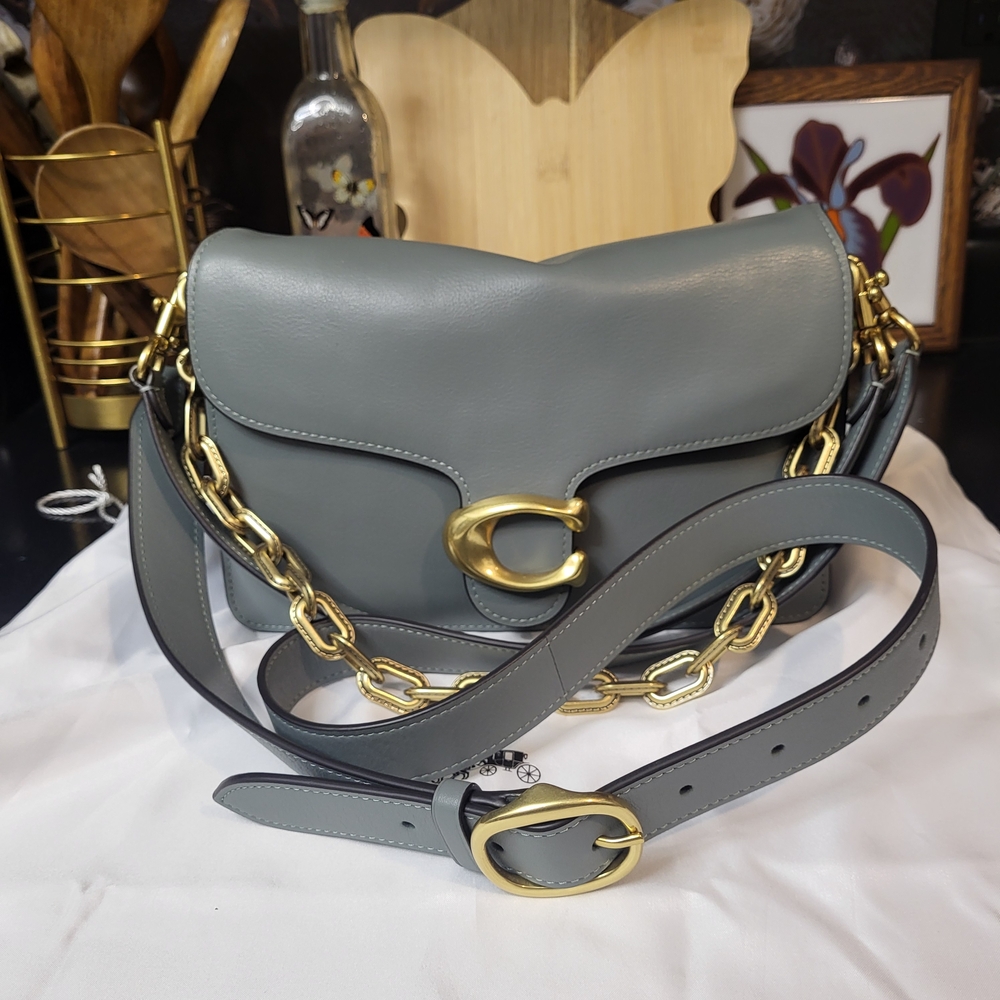 Sage Green Coach Chain Tabby